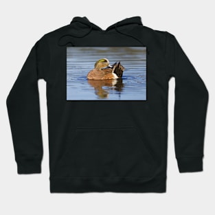 Male Wigeon Hoodie